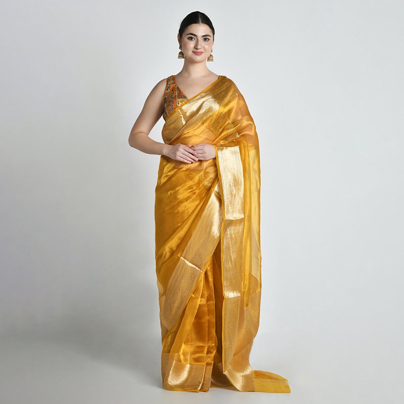 Female model in golden organza saree front pose studio photoshoot | Lohar Studio